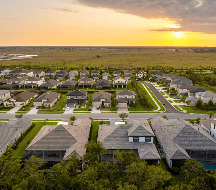                                      November Market Update